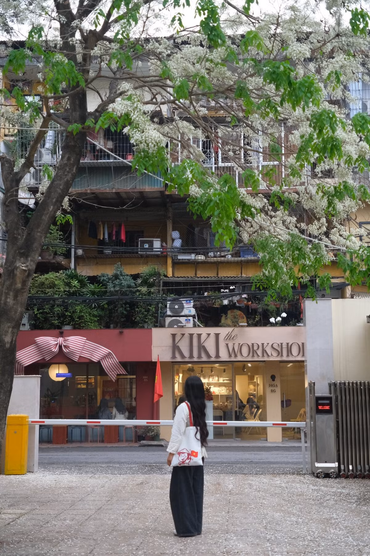 Những ngày này, nhiều bạn trẻ tranh thủ lưu lại khoảnh khắc bên mùa hoa đặc biệt của Hà Nội. Dưới những tán sưa trắng, người đi bộ chậm lại, ngẩng đầu ngắm hoa, hoặc đơn giản là đứng lặng để cảm nhận sự bình yên hiếm hoi giữa lòng đô thị đông đúc. Không cần cầu kỳ, chỉ một góc phố nhỏ, một tán cây già cũng đủ trở thành background đầy chất thơ. Ảnh FB Đỗ Vân Anh