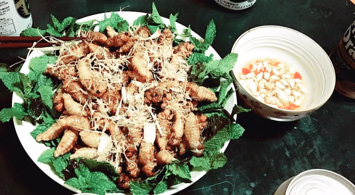 Dù vậy, sức hút của món ăn này chưa từng giảm. Với những người yêu thích ẩm thực trải nghiệm, ve sầu không chỉ là món ăn mà còn là cơ hội khám phá văn hóa ẩm thực vùng cao. Ảnh MIA