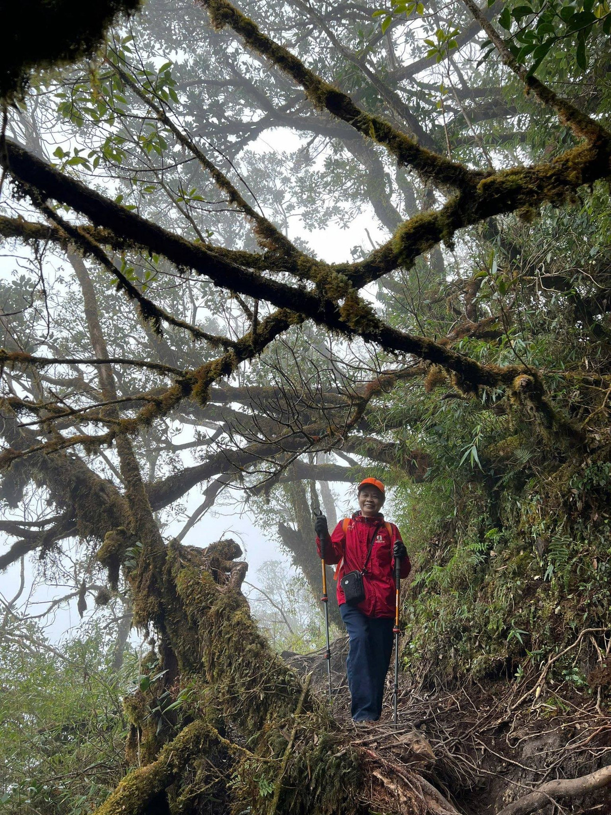 Với cô, leo núi không phải để chứng minh điều gì, càng không phải để hơn thua. Đó là cách cô đối thoại với chính mình, lắng nghe cơ thể, cảm nhận từng nhịp thở giữa rừng già, từng bước chân trên con đường mờ sương dẫn lên cao.