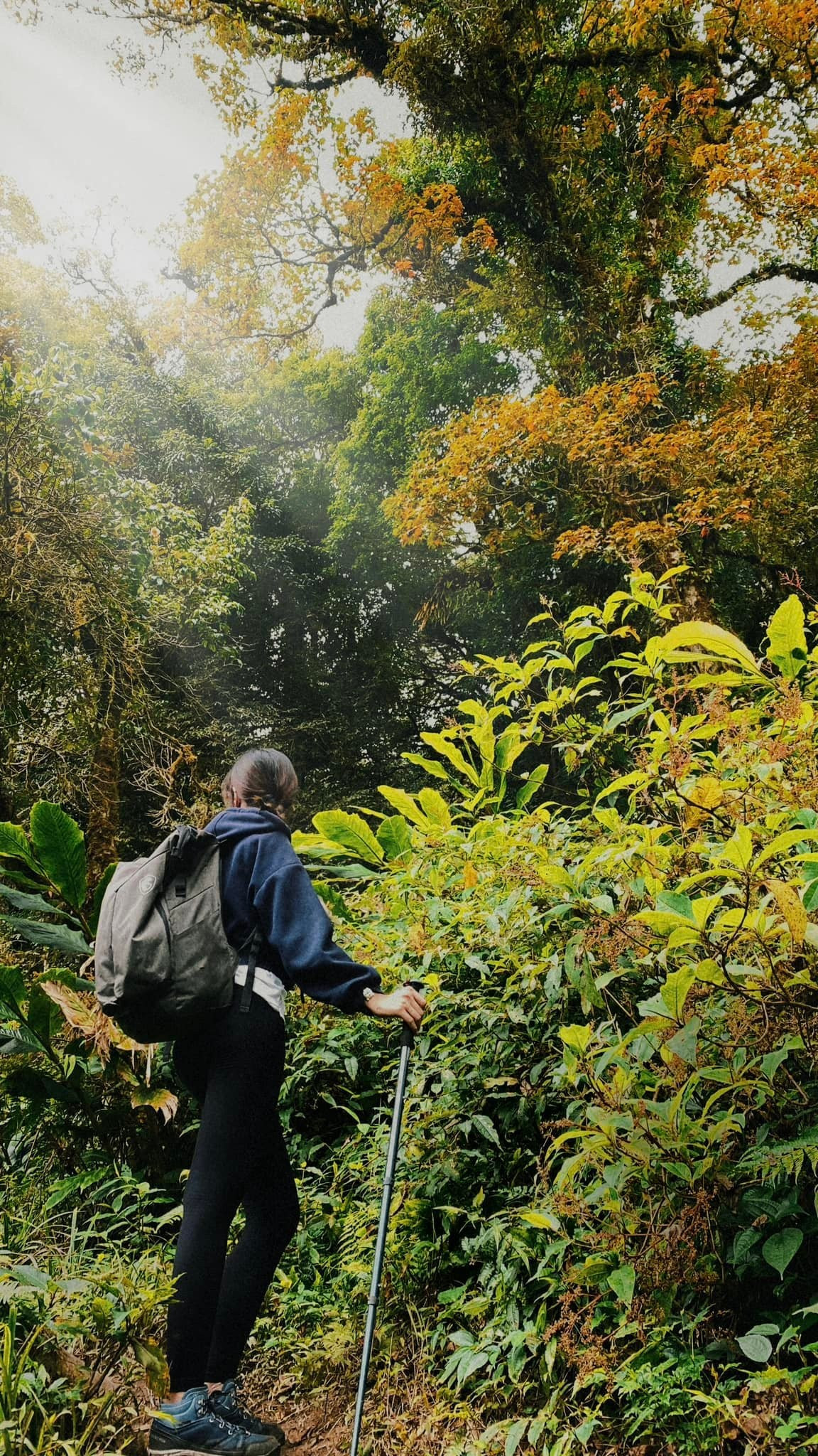 Mỗi mùa, nơi đây lại mang một vẻ đẹp khác biệt: mùa xuân rực rỡ hoa rừng, mùa hè xanh mướt mây trời, mùa đông có thể phủ tuyết trắng xóa, và cuối thu chính là thời điểm rừng phong chuyển sắc rực rỡ nhất. Ảnh Giang Thu Nguyen