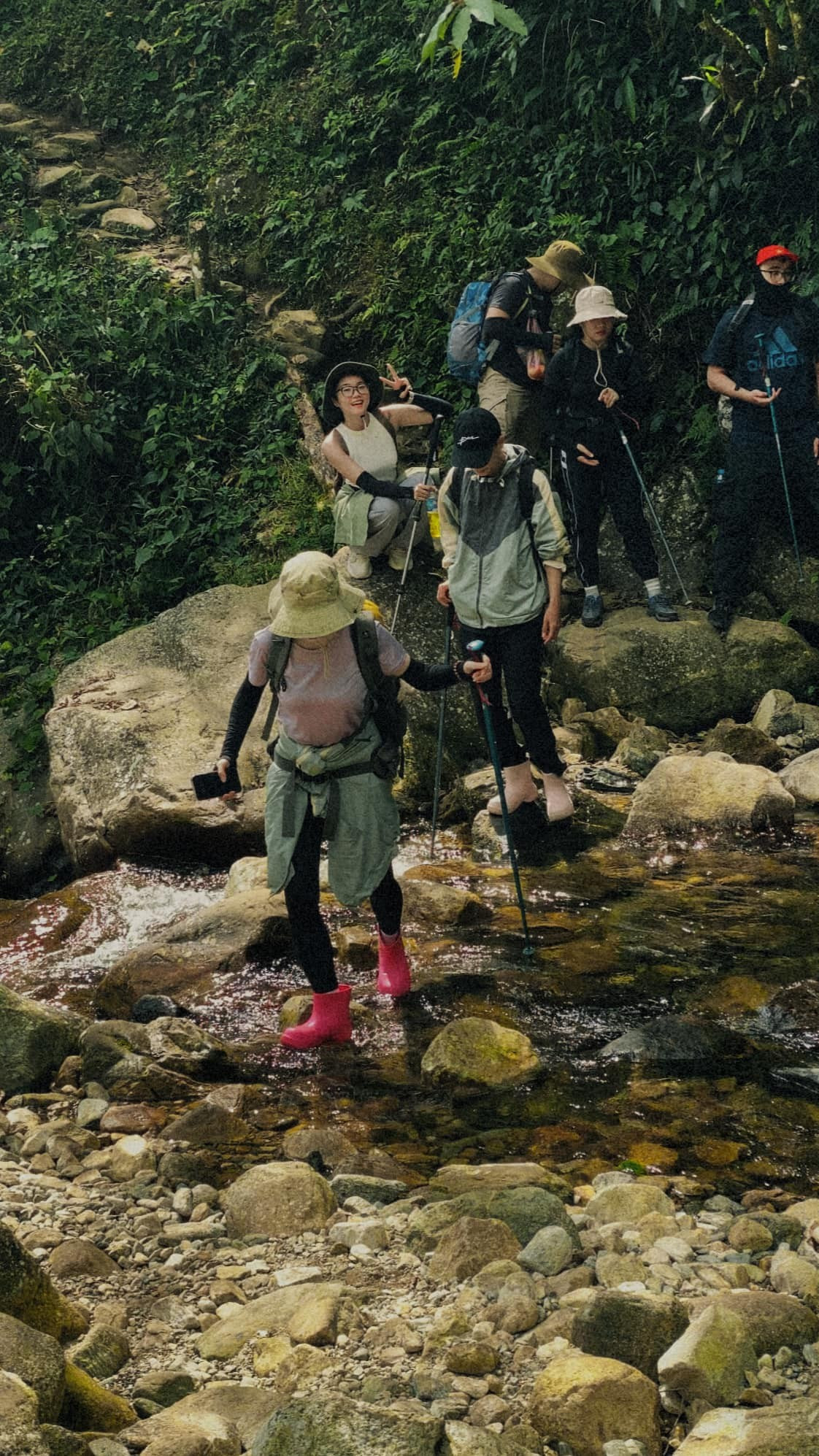 Hành trình chinh phục Nhìu Cồ San thường bắt đầu từ bản Nhìu Cồ San, xã Sàng Ma Sáo. Con đường mòn men theo triền núi, xuyên qua những cánh rừng nguyên sinh phủ rêu xanh, dọc suối nhỏ róc rách. Ảnh Giang Thu Nguyen