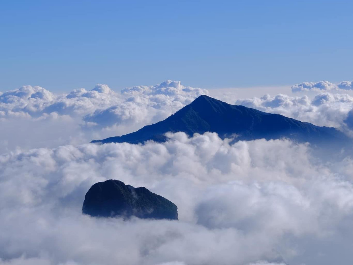 Khi những cơn gió se lạnh đầu mùa thổi về, rừng phong trên núi Nhìu Cồ San (tỉnh Lào Cai) bắt đầu thay áo mới. Ảnh Gió