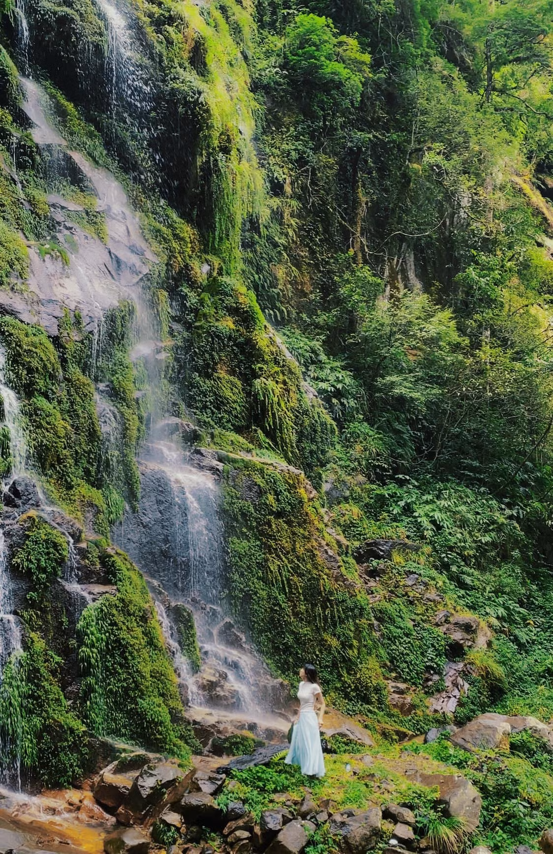 Nhiều du khách ví mùa phong ở Nhìu Cồ San như “bản giao hưởng màu sắc” giữa núi rừng Tây Bắc. Ảnh Giang Thu Nguyen