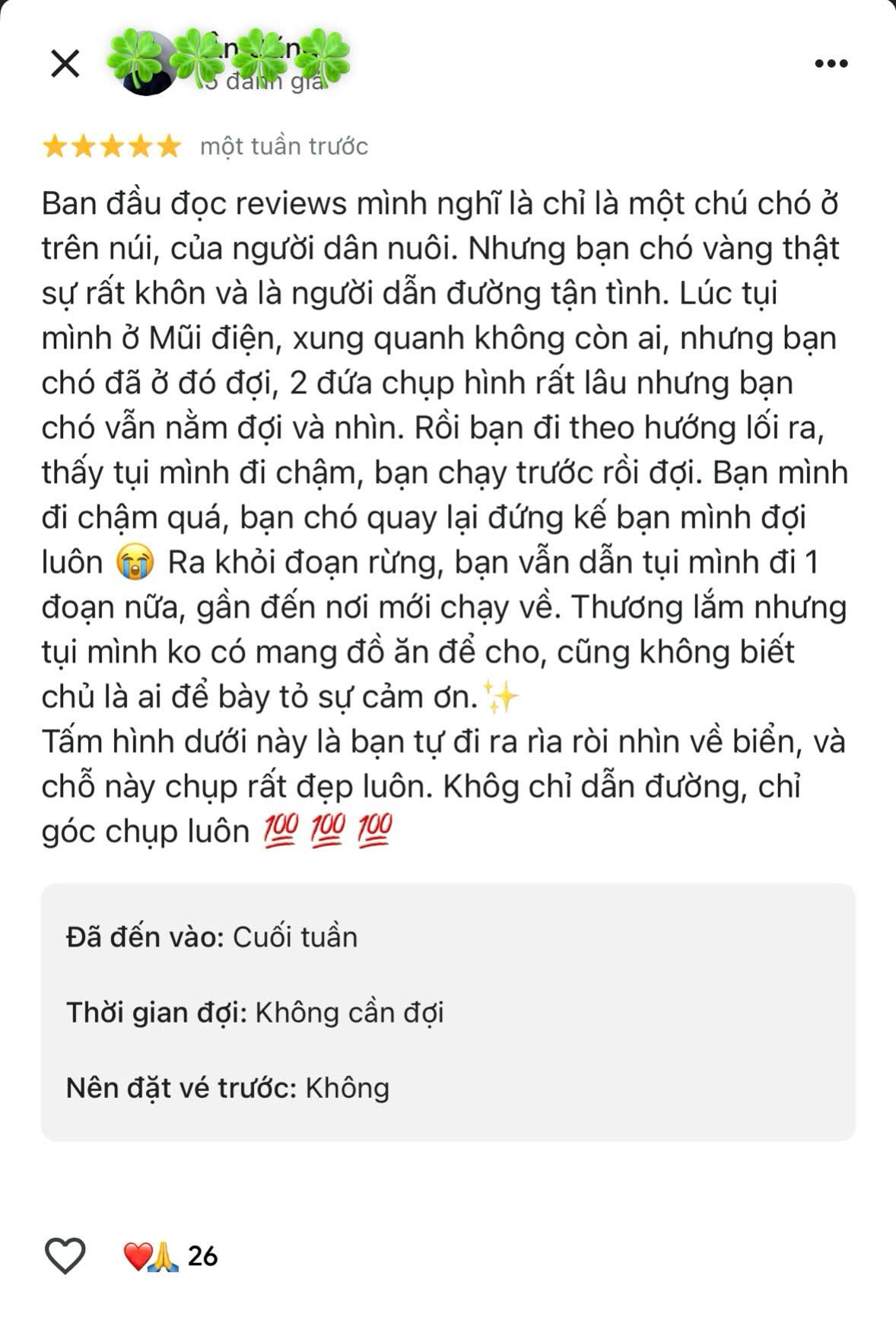 Trên Google Maps, khi tìm kiếm cụm từ “bạn chó Vàng”, du khách dễ dàng bắt gặp hàng loạt hình ảnh cùng những lời chia sẻ đầy thiện cảm. Nhiều người để lại đánh giá 5 sao, xem chú chó như một “tour guide 4 chân” tận tâm và thông minh. Ảnh Chụp màn hình