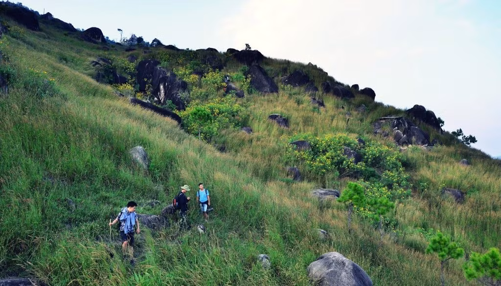Nổi bật trong bản đồ du lịch Tây Gia Lai là núi Chư Nâm, được mệnh danh là “nóc nhà” phía Tây tỉnh với độ cao gần 1.500 m. Ngọn núi này không chỉ sở hữu cảnh quan hùng vĩ mà còn là điểm trekking nổi tiếng, thu hút hàng nghìn lượt khách mỗi năm.