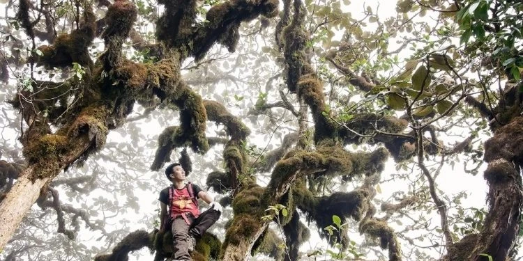 Sự thật "lạnh người" hiển hiện trên đỉnh núi cao thứ 5 Việt Nam 