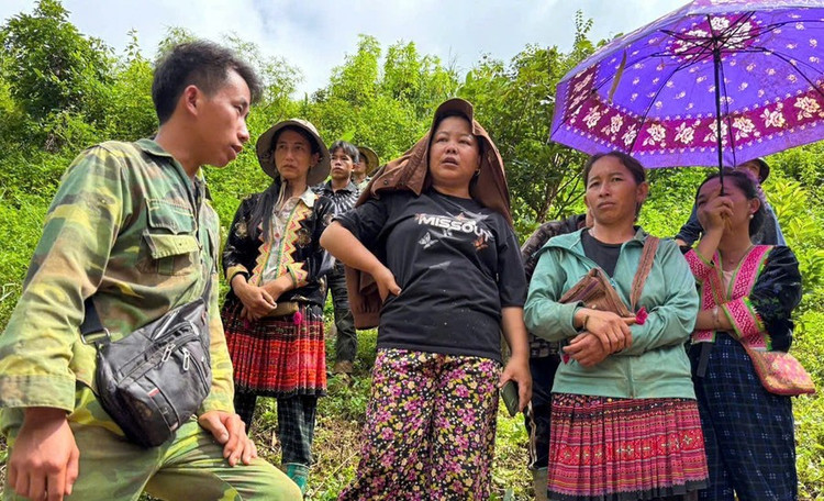Diệp Chi. mua-a-thi-2.jpg