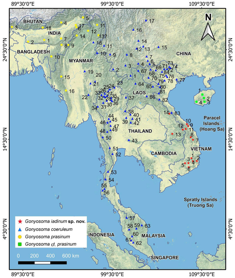 Phân bố của loài Thanh xà Trường Sơn và các loài có quan hệ gần gũi. thanh-xa-truong-son-4.jpg