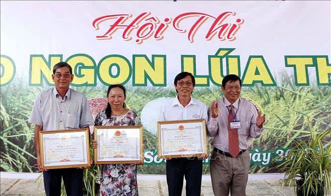 TS Trần Tấn Phương (thứ hai từ phải qua) cùng các tác giả trong nhóm lai tạo giống lúa ST24, ST 25 nhận giải Hội thi giống lúa ngon nhất Sóc Trăng. Ảnh: Trung Hiếu, TTX. tien-si-tran-tan-phuong-2.jpg