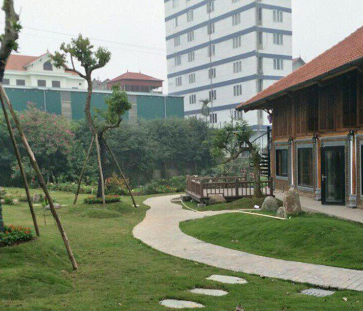 Bao quanh căn nhà là lối đi lát đá được phủ xanh bằng thảm cỏ non