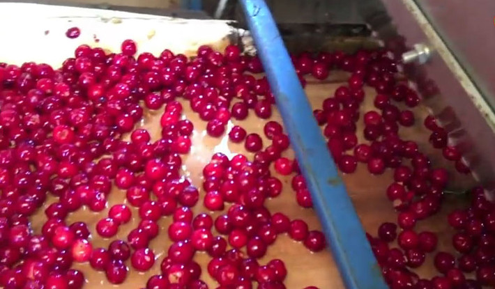 Sau khi được loại bỏ hạt, cherry có thể được chế biến thành nhiều lại thành phẩm khác nhau như mứt, bánh, nước ép, cherry sấy khô...