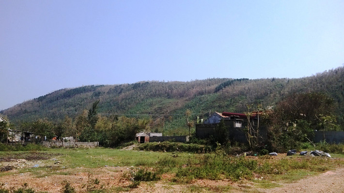 Thân núi chạy dọc ra mũi Rồng.