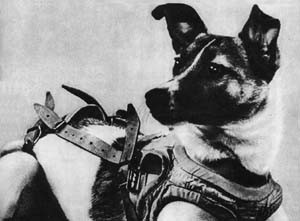 Do vậy, sau 163 ngày bay, ngày 14/4/1958, Sputnik 2 đã rực cháy khi trở về Trái đất.