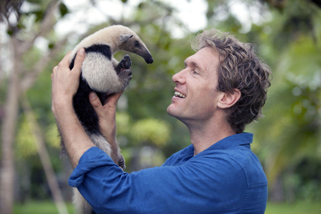 Con Tamandua - thú ăn kiến đáng yêu.