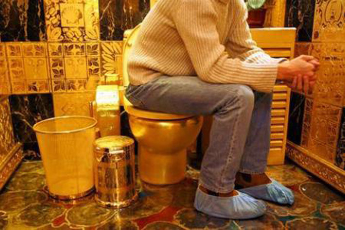 Tại phòng trưng bày của Công ty Hang Fung Gold Technology, toilet được làm hoàn toàn bằng vàng đã gây sự chú ý đặc biệt của nhiều người thăm quan. Tuy nhiên, đây chỉ là sản phẩm triển lãm và không có tác dụng thực tế. Sau một thời gian trưng bày, người ta nấu chảy chúng để sản xuất vàng miếng hoặc trang sức.