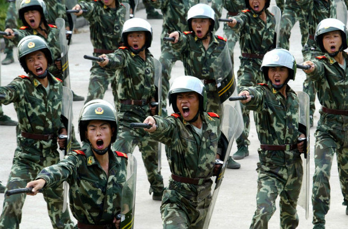 4 triệu dân quân này thường được sử dụng cho mục đích an ninh nội địa và thực thi luật pháp. Những dân quân cũng phải chịu chế độ huấn luyện nghiêm ngặt.