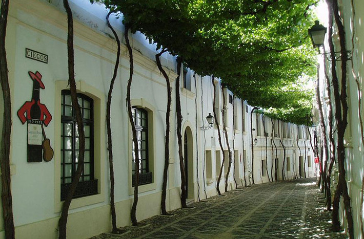 Những con đường nhỏ dưới hàng cây ở tỉnh Jerez de la Frontera, Tây Ban Nha chắc chắn cũng là điểm đến yên bình cho những lữ khách mệt mỏi.