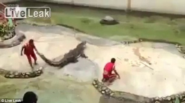 Người biểu diễn nhanh chóng chạy vào bên trong sân khấu để sơ cứu trong tiếng la hét sợ hãi của người xem.