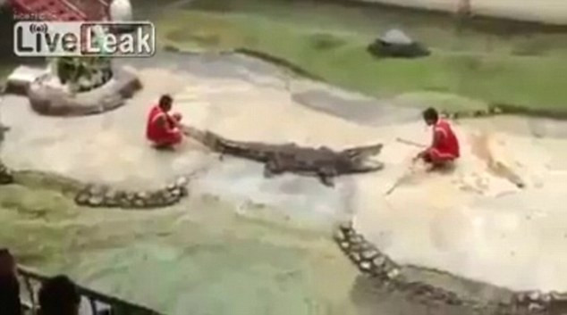 Vụ tai nạn này được cho là đầu tiên xảy ra tại công viên.