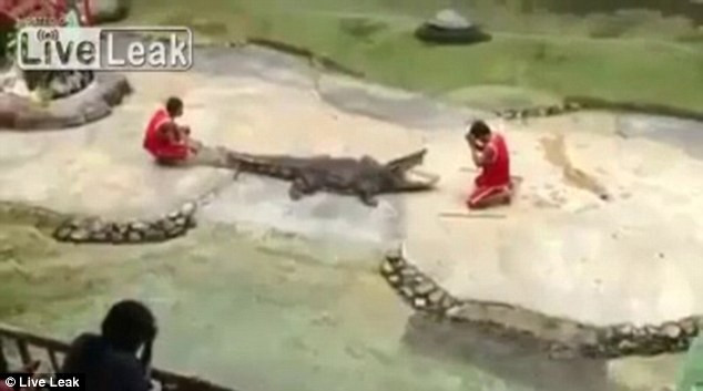 Tiết mục cho đầu vào miệng cá sấu là một trong những màn biểu diễn phổ biến ở Thái Lan, thu hút đông đảo du khách thích cảm giác mạnh.