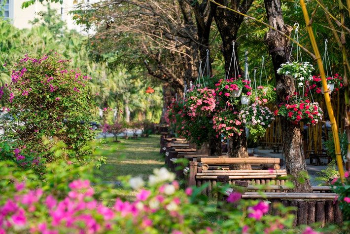 Bên cạnh đó, Ecopark còn là một địa điểm dã ngoại hấp dẫn với các dịch vụ cho thuê trang thiết bị cắm trại, BBQ, đốt lửa trại, túi ngủ, xe đạp, giày trượt patin…