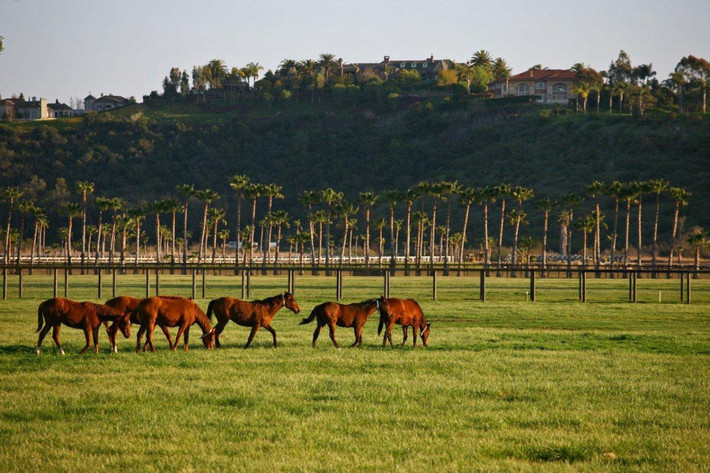 Để đến Rancho Paseana mất khoảng 20 phút về phía bắc của San Diego, trong một thung lũng ở Rancho Santa Fe, California.