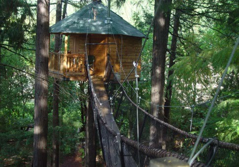 9. Khách sạn trên cây Vertical Horizons Treehouse Paradise, Oregon, Mỹ. Khách sạn này mang nét độc đáo trong thiết kế bởi nó là những ngôi nhà gỗ được làm trên cây. Tại đây, các vị khách sẽ được phục vụ những món ăn tuyệt ngon trên thế giới với một đầu bếp chuyên nghiệp.