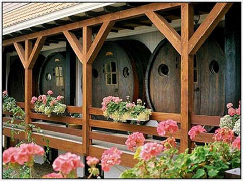 10. Khách sạn De Vrouwe van Stavoren (Hà Lan). Tọa lạc tại cảng Stavoren, khách sạn nhà hàng De Vrouwe van Stavoren mang đến quang cảnh tuyệt đẹp vời, khi hướng ánh nhìn về phía ruộng lúa bậc thang trải rộng với một màu xanh mơn mởn. Một điều nổi bật của khách sạn là mỗi phòng được trang bị bốn thùng gỗ sồi chứa 14.500 lít rượu vang . Hương thơm của mùi rượu vang phảng phất, mang lại cho du khách một cảm giác dễ chịu khi nghỉ tại đây.