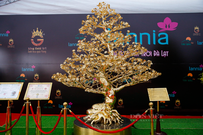 Những ngày gần Tết Nguyên đán 2023 khi đi qua Quảng trường Mỹ Đình (trước sân vận động quốc gia Mỹ Đình) ai nấy cũng đều trầm trồ khi chiêm ngưỡng cây mai mạ vàng 24k lớn nhất Việt Nam.