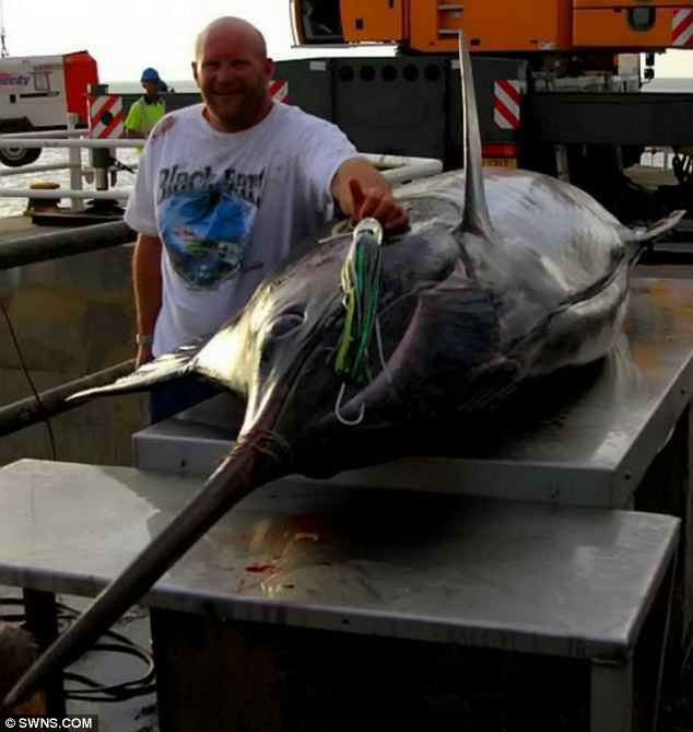Ông Kevin Gardner, chủ quán bar ở Coltishall, Norforlk (Anh) đứng bên cạnh con cá cờ xanh nặng 600 kg mà ông câu được.