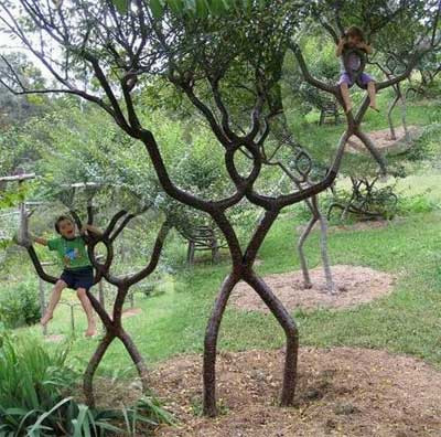Những gốc cây có chân, tay, thân mình, đầu giống người.