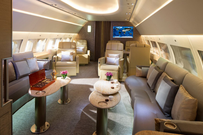 Chiếc A319 được chia thành hai khu vực chính. Đầu tiên là một khu vực phòng khách, gần phía trước của máy bay.