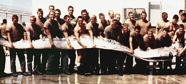 Cá mái chèo dài 6,9 m bắt được tại California (Mỹ) năm 1996.
