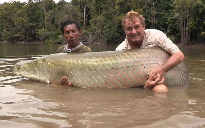 Anh Steve Townson, người Anh, đã câu được con cá khổng lồ nặng khoảng 112 kg tại một dòng sông ở Nam Mỹ.