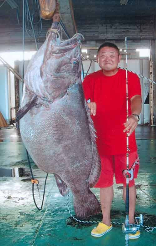 “Thủy quái” được cần thủ Takayuki Shibayama bắt được ngoài đảo Miyako ở Okinawa, Nhật Bản.