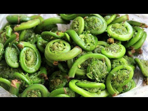 18:22 Loại Rau Trường Thọ Quý Hơn Nhân Sâm Gấp 100 Lần Mà Người Việt Bỏ Phí Vì Không Biết Công Dụng Của Nó Thực Phẩm Và Sức Khỏe Recommended for you