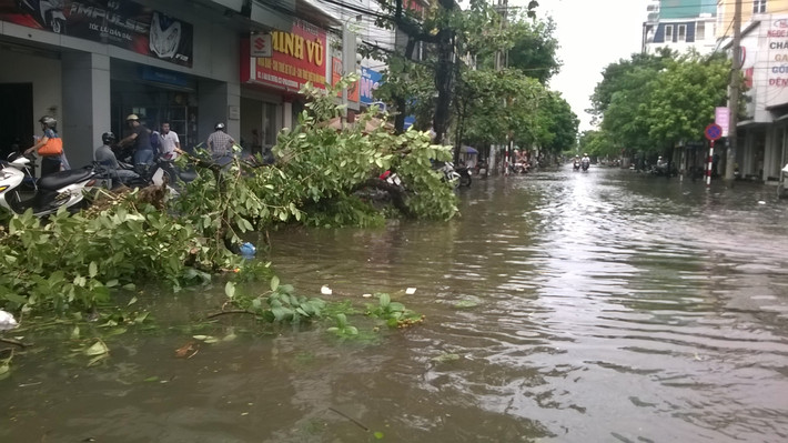 Nằm ngả nghiêng trên nước.