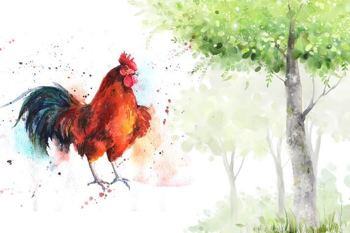 Con giáp này làm kinh doanh thì công việc cũng có nhiều khởi sắc. Những khoản đầu tư của họ trước đây cũng bắt đầu sinh lời.