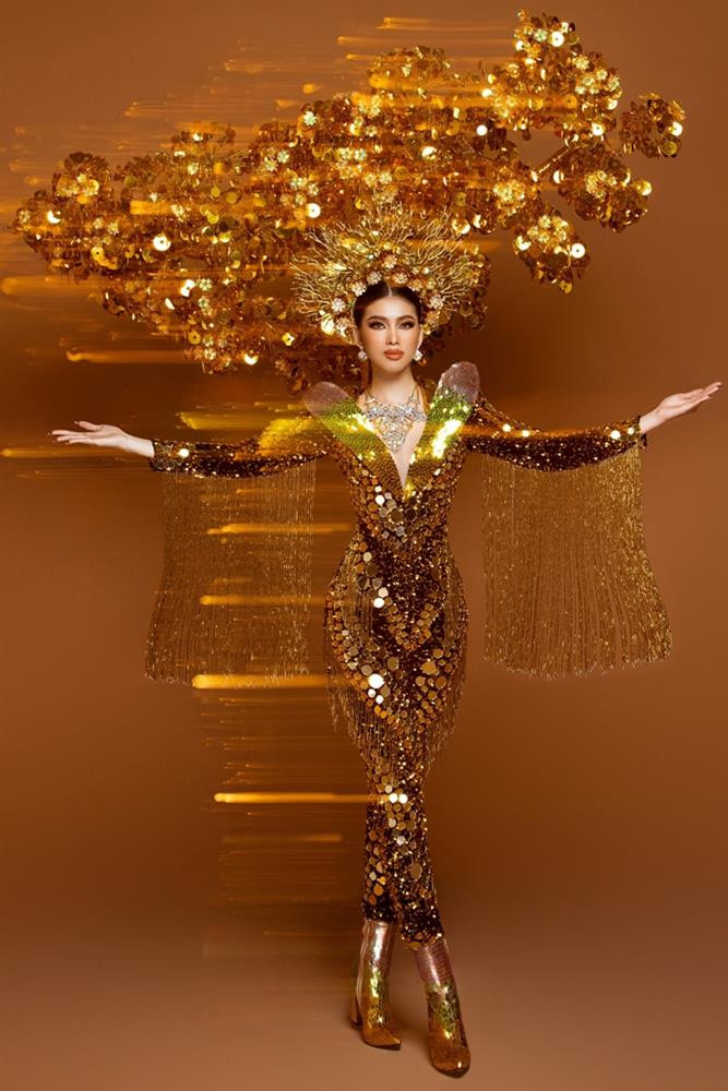 Mặc dù phải khoác lên mình bộ đồ rất nặng nhưng đại diện Việt Nam đã có màn trình diễn cực kỳ ấn tượng. Bộ trang phục này cũng đã lọt vào Top 10 trang phục dân tộc ấn tượng nhất do BTC cuộc thi công bố.