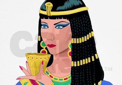 Căn cứ vào những đồng tiền xu cổ khắc hình nữ hoàng Cleopatra, nữ Pharaoh này được khắc họa khuôn mặt với cằm nhọn, mũi xấu và gương mặt thể hiện sự cáu kỉnh...