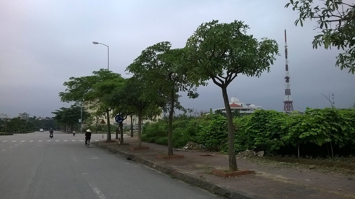 Phía trước khu đất này là đường Tôn Đức Thắng rộng rãi, khang trang. Mấy ai biết rằng, nếu dự án khu hành chính tập trung tỉnh Hải Dương được Thủ tướng Chính phủ phê duyệt thì nơi đây sẽ là tòa nhà cao nhất, hoành tráng nhất tỉnh Hải Dương và là trụ sở của 19 cơ quan ban ngành.