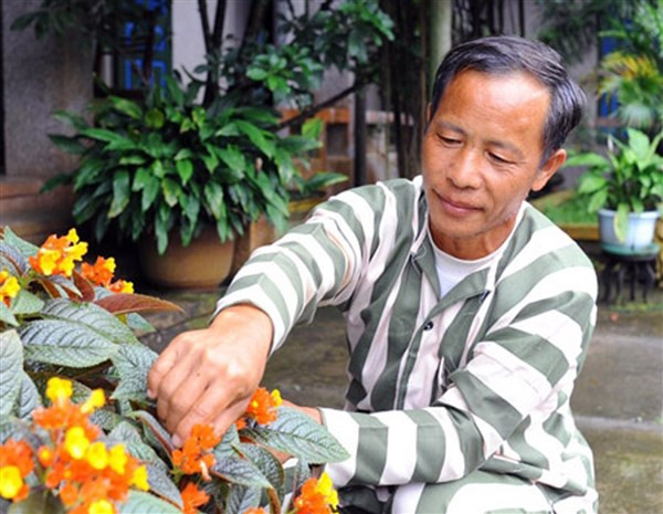 Ngày 1/3/2010, Tòa án nhân dân tỉnh Lào Cai đã đưa Ma Seo Chứ (SN 1954), ra xét xử. Tòa đã tuyên Chứ án chung thân vì các tội giết người, tàng trữ, sử dụng trái phép vũ khí quân dụng và chống người thi hành công vụ. Những tháng ngày sống hoang dã của "Người rừng" này kể từ đó đã chấm dứt. “Dẫu vẫn phải sống xa gia đình, không được hàng ngày nhìn thấy con cháu lớn lên nhưng đây là chốn bình yên của mình sau nửa đời người sống trong trốn chạy”, Ma Seo Chứ đã nói như vậy khi trao đổi với báo chí vào năm 2019.