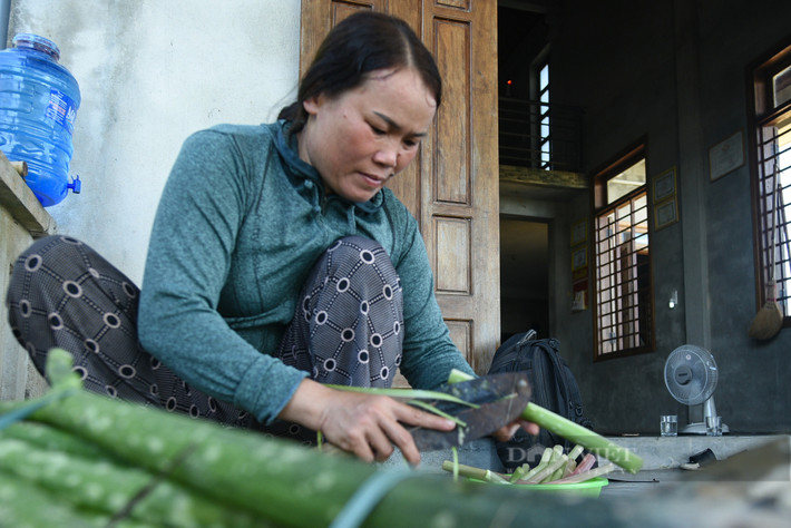 Chị Nguyễn Thị Bé (thôn La Vân Thượng, Quảng Thọ, Quảng Điền, TT Huế) cho biết: "Chột nưa này có thể dùng để chế biến ra rất nhiều món ăn hấp dẫn như canh chua cá lóc (tràu), canh chột nưa nấu với tôm, chột nưa hầm thịt hoặc là dùng để ăn lẩu".