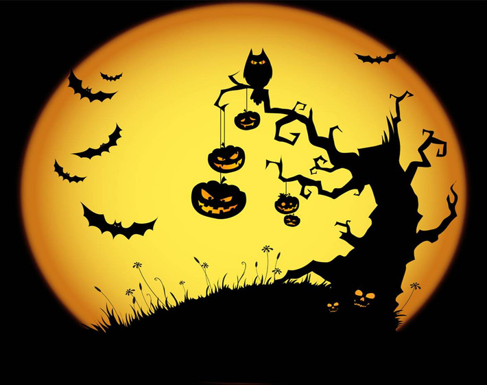 Còn theo một truyền thuyết khác, nếu như dơi bay vào nhà bạn trong dịp Halloween thì đó là dấu hiệu cho thấy ngôi nhà của bạn bị ám bởi những linh hồn cư ngụ trong thân xác loài vật trên.
