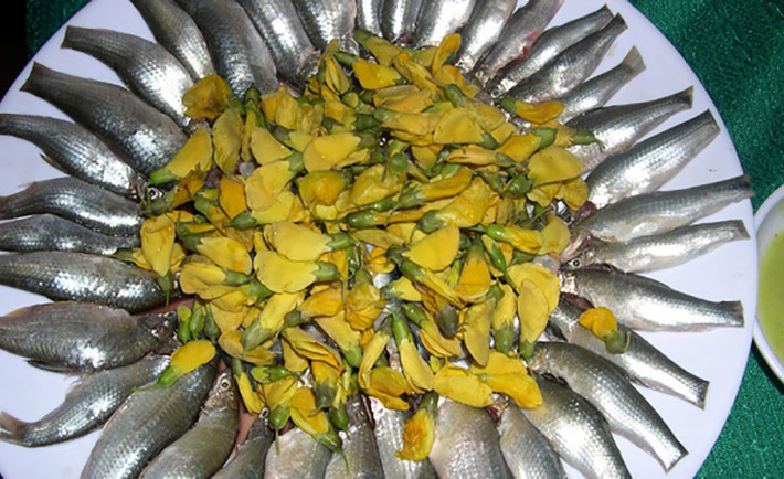 Tại An Giang, giá cá linh non làm sạch có giá 230.000- 250.000 đ/kg, còn tại Cần Thơ, Vĩnh Long ở mức 250.000- 300.000 đ/kg.