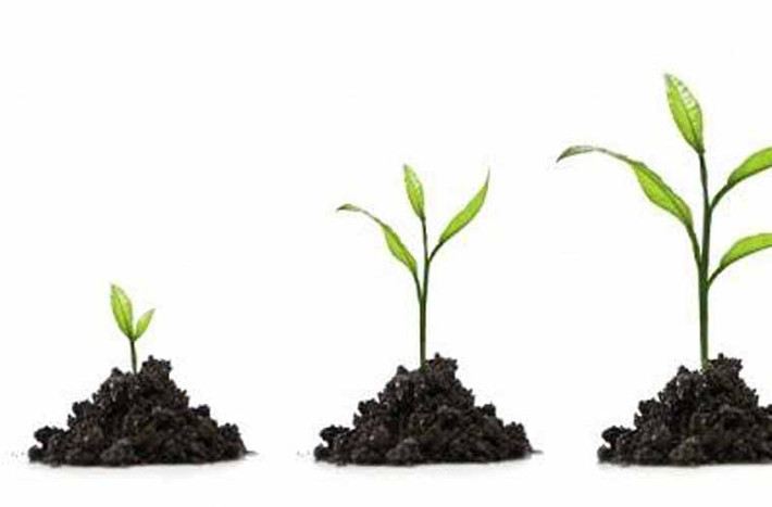 Bạn có thể đạt được một vị trí cao trong công việc. Mặc dù gặp nhiều khó khăn trong công việc nhưng nhờ trí thông minh, cách xử lý các mối quan hệ tốt, người sinh ngày này sẽ vượt qua được các cửa ải khó khăn trong công việc lẫn cuộc sống.