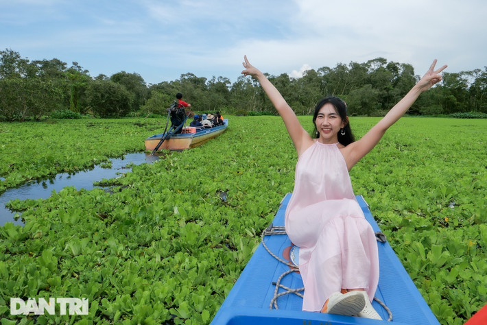 Rừng Trà Sư được trồng theo mô hình hệ sinh thái của vùng ngập nước, cùng thảm thực vật đa dạng, khí hậu mát mẻ, ôn hòa. Nơi đây cũng được đánh giá là cánh rừng có tầm quan trọng quốc tế trong công tác bảo tồn đất ngập nước tại vùng đồng bằng, là điểm đến cho các nhà nghiên cứu thiên nhiên hoang dã.