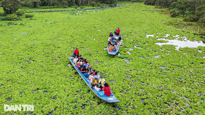 Theo ông Trần Minh Trí - Giám đốc Công ty Cổ phần Du lịch An Giang (đơn vị quản lý và khai thác du lịch tại rừng Trà Sư), sau khi đoàn phim quay xong, đơn vị cố gắng giữ lại những phân cảnh trong phim, góp phần quảng bá hình ảnh du lịch Trà Sư đến du khách và bạn bè quốc tế. "Những nghệ nhân của đoàn phim đã làm việc cực kỳ sáng tạo để dựng lên hình ảnh cây cầu Kiều đầy nét hoài cổ", ông Trí chia sẻ.
