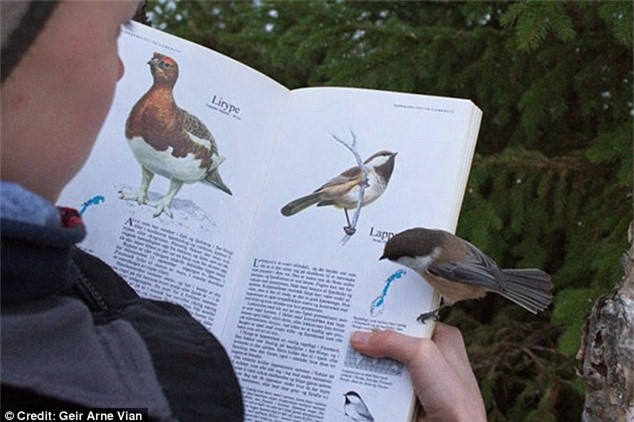 ##sc### Trăm "đọc" không bằng một thấy. Ảnh: Daily Mail