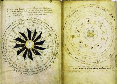 Từng có nhiều ý kiến cho rằng chính họa sĩ Leonardo da Vinci là tác giả của tác phẩm này. Điều làm Bản thảo Voynich trở nên bí ẩn một cách nổi tiếng, là hệ thống chữ viết và hình ảnh của nó, nó không hề giống với một hệ thống chữ viết nào được biết. Các nhà mật mã đã giải nó từ thế kỷ 20 đến nay nhưng vẫn chưa tìm ra một đáp án nào thỏa đáng.